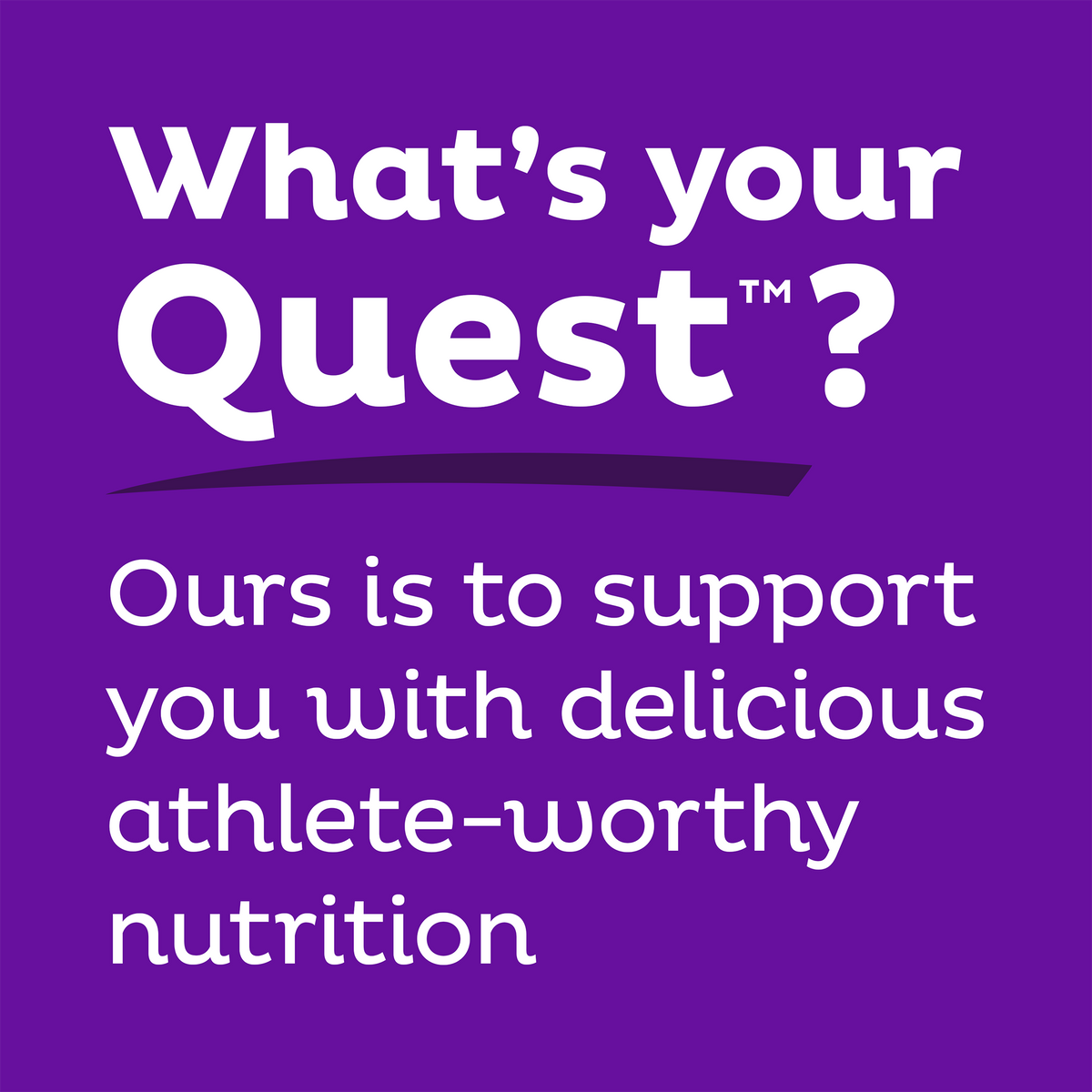 double-chocolate-chunk-protein-bars-q9 qst-000241_double-chocolate-chunk-protein-bars_9.png